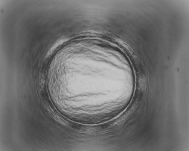 X0000085051355200703191248
