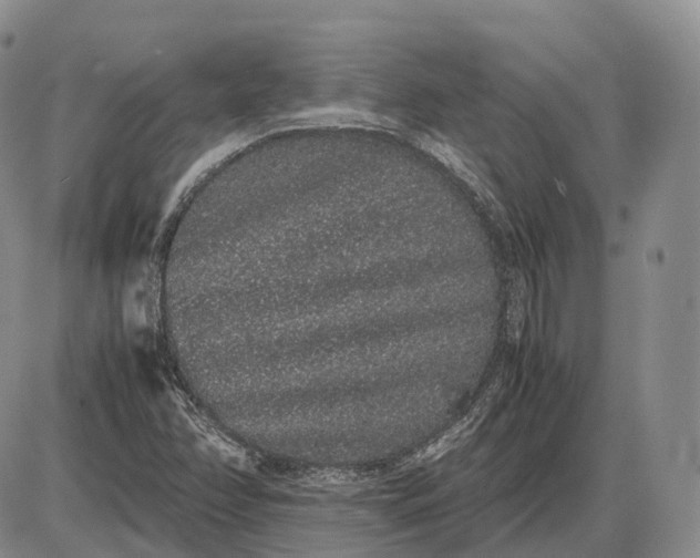 X0000085051358200703191248