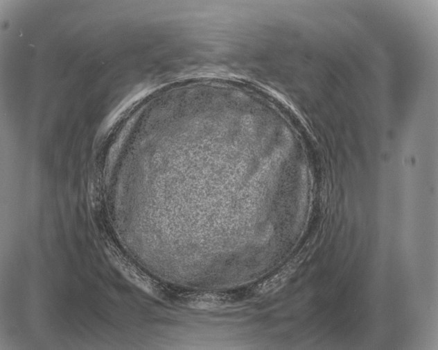 X0000085051359200703191248
