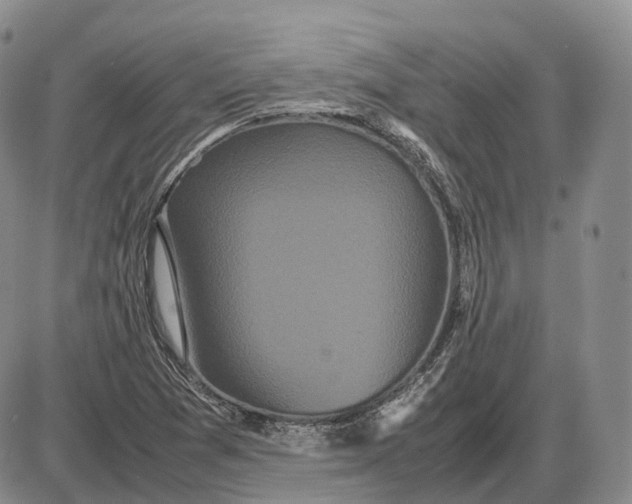 X0000085051361200703191248