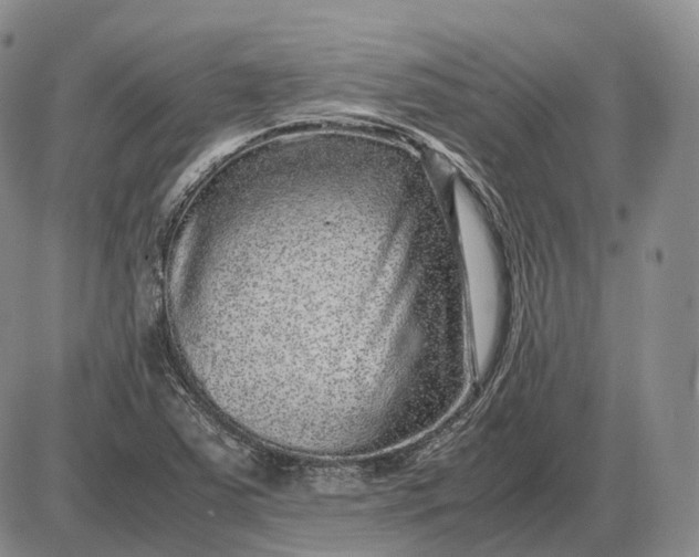 X0000085051363200703191248