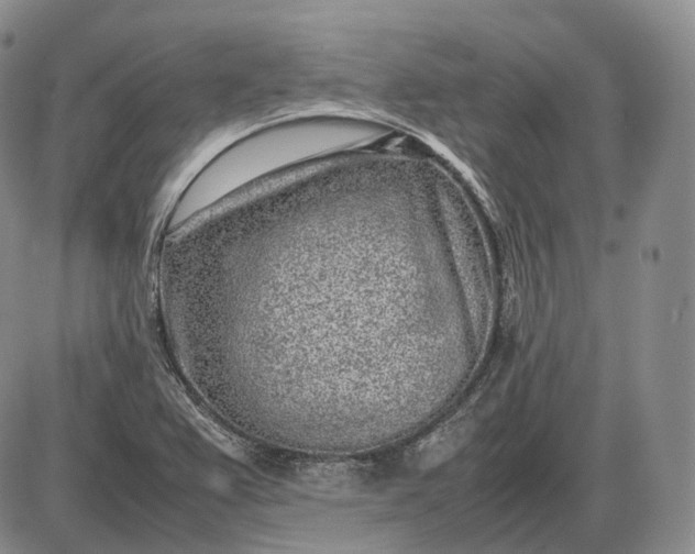 X0000085051367200703191248