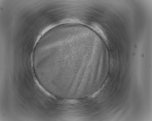 X0000085051382200703191248