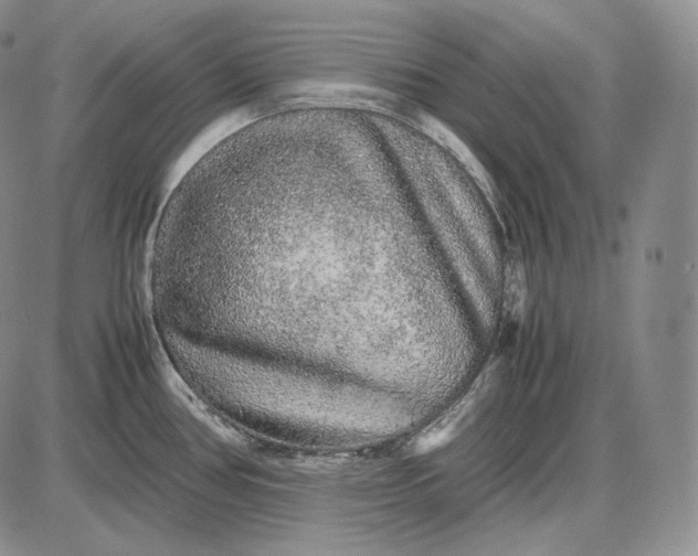 X0000085051386200703191248
