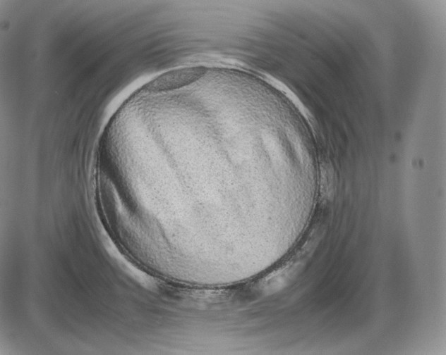 X0000085051387200703191248