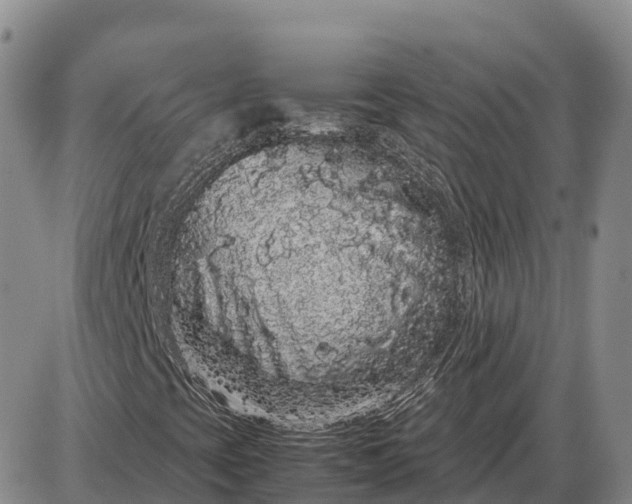 X0000085051393200703191247