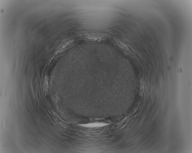 X0000085051394200703191247