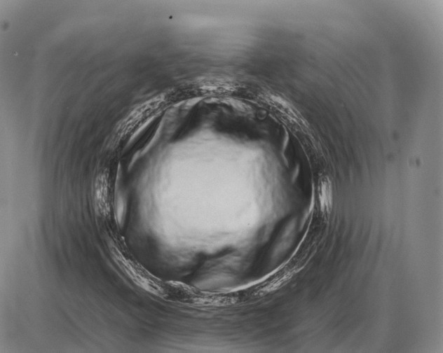 X0000085051396200703191247