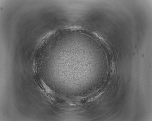 X0000085051398200703191247
