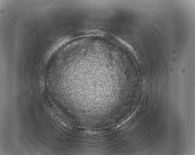 X0000085051407200703191247