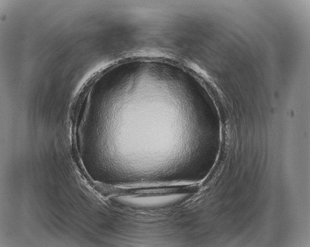 X0000085051408200703191247