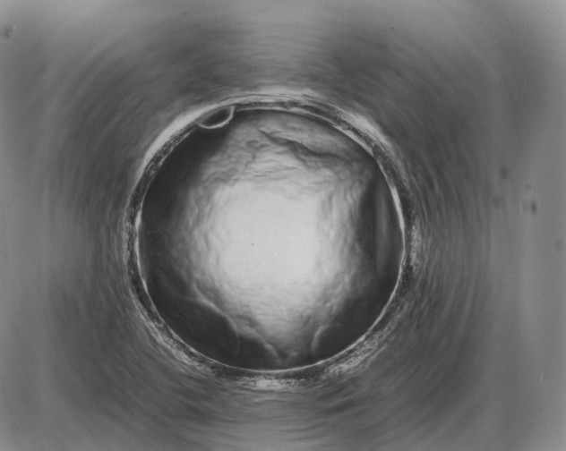 X0000085051412200703191247