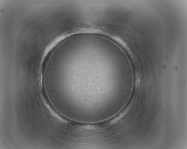 X0000085051414200703191247
