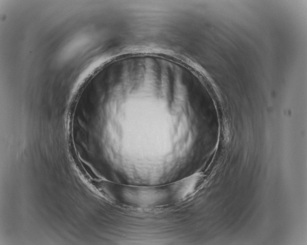 X0000085051416200703191247