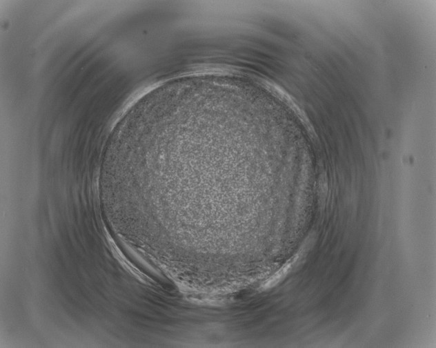 X0000085051417200703191247