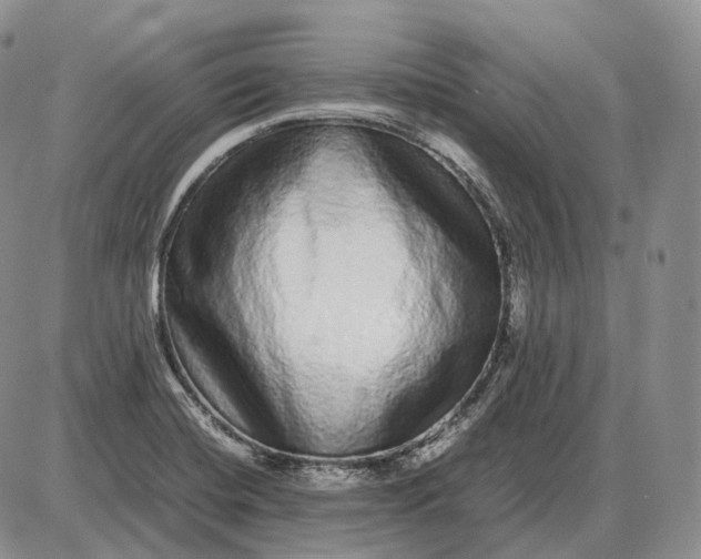 X0000085051420200703191247