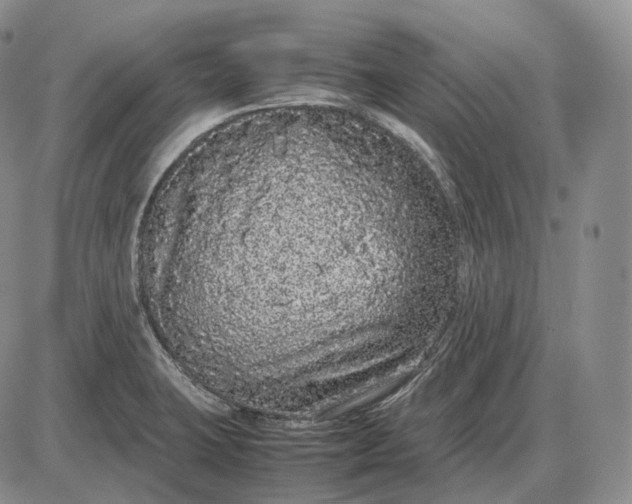 X0000085051423200703191247
