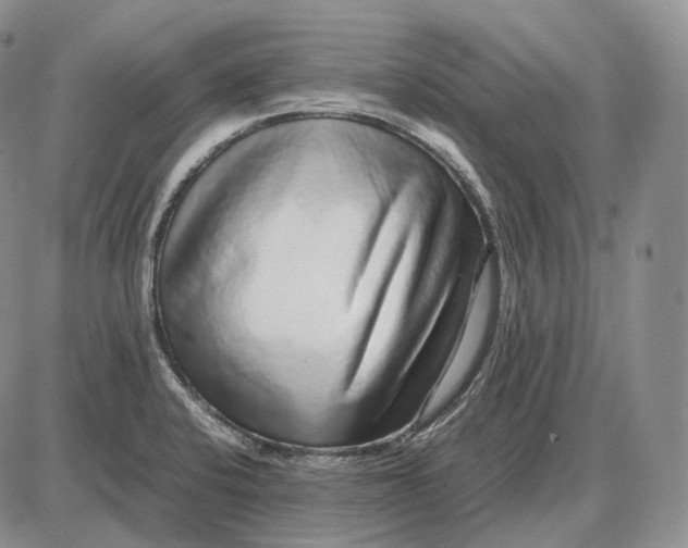 X0000085051424200703191247