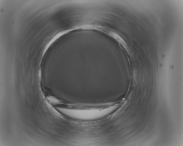 X0000085051428200703191247