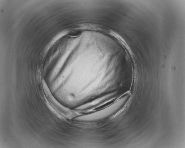 X0000085051433200703191247
