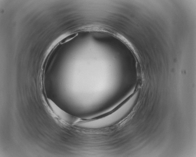 X0000085051434200703191247