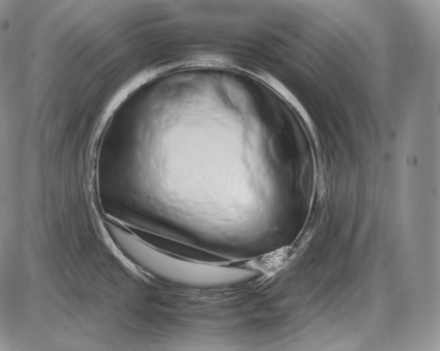 X0000085051437200703191247