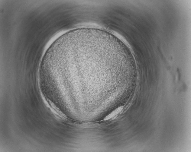 X0000085051440200703191247