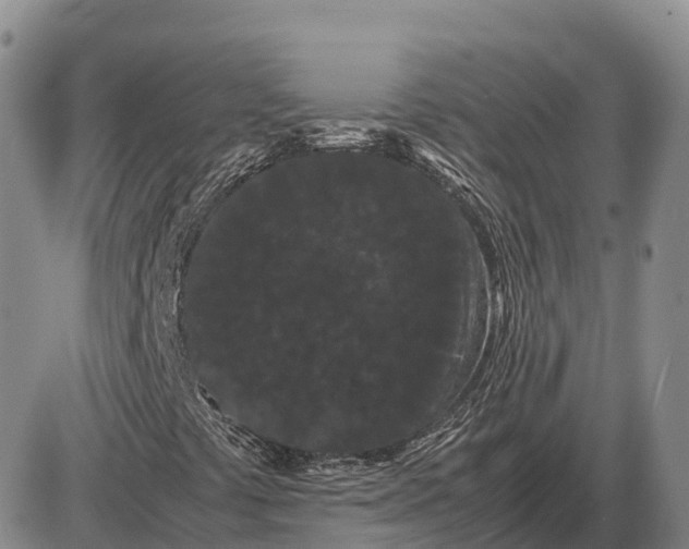 X0000085051441200703191247