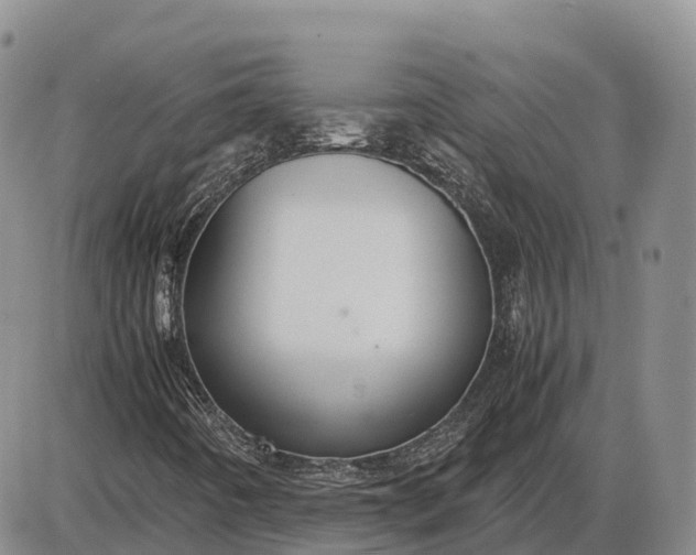 X0000085051442200703191247