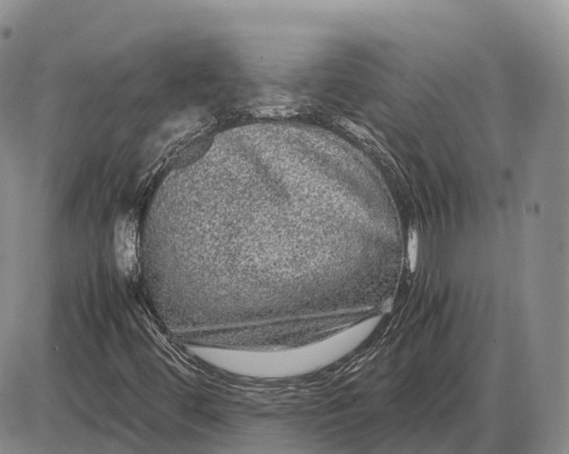 X0000085051444200703191247