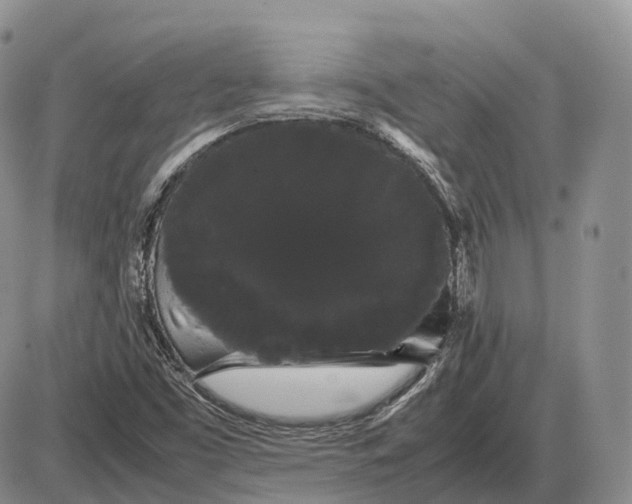 X0000085051453200703191246