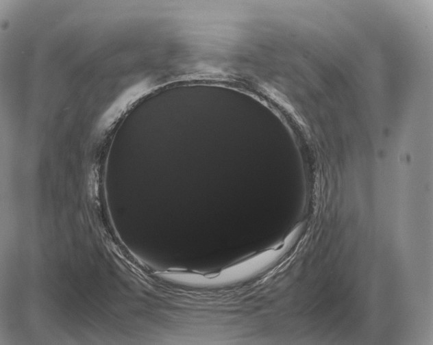 X0000085051455200703191246