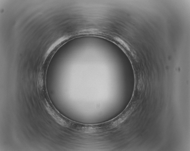 X0000085051458200703191246