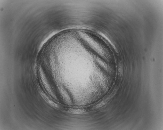 X0000085051460200703191246