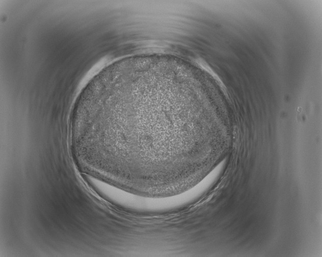 X0000085051467200703191246