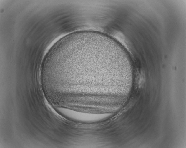 X0000085051468200703191246