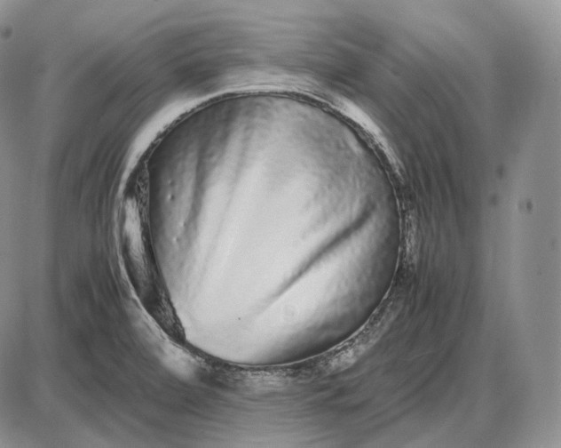 X0000085051472200703191246