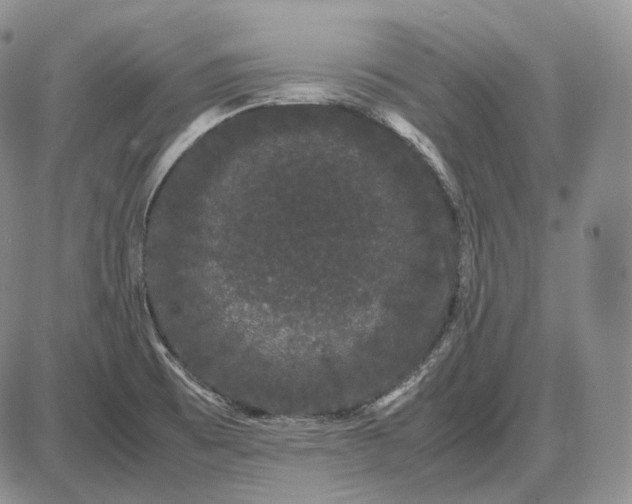 X0000085051473200703191246