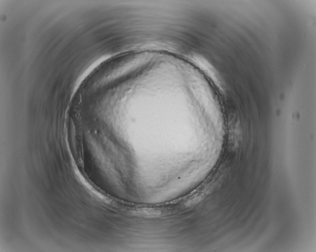X0000085051476200703191246