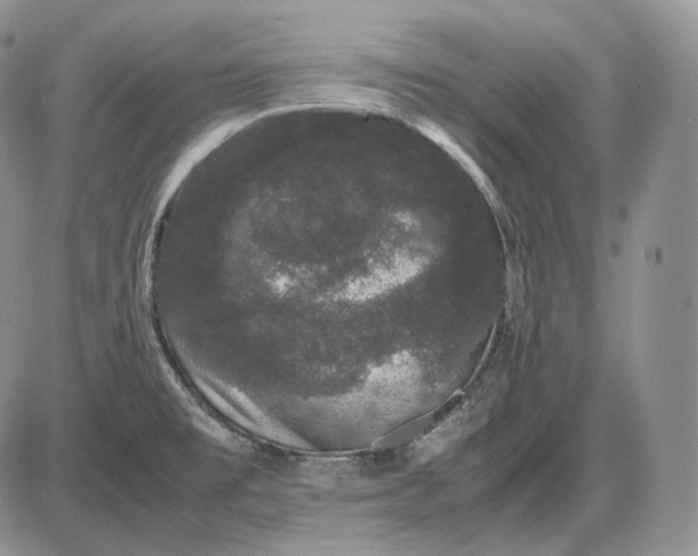 X0000085051477200703191246