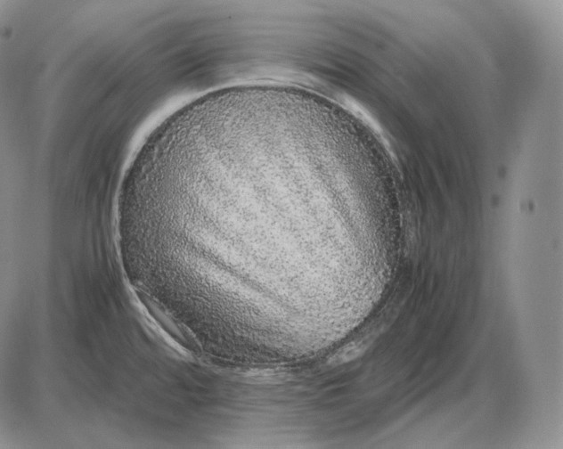 X0000085051480200703191246