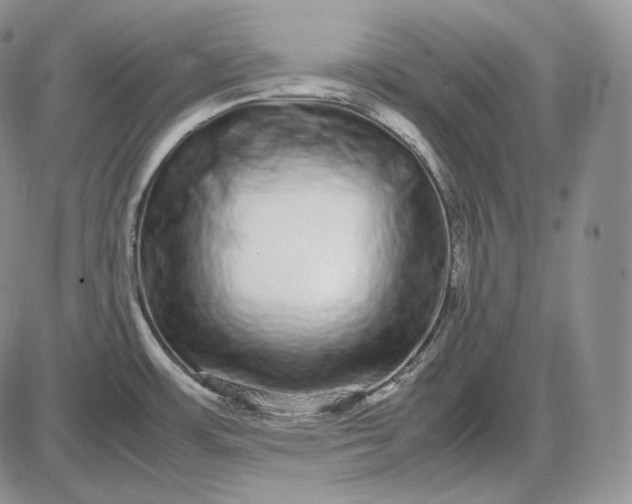 X0000085051483200703191246
