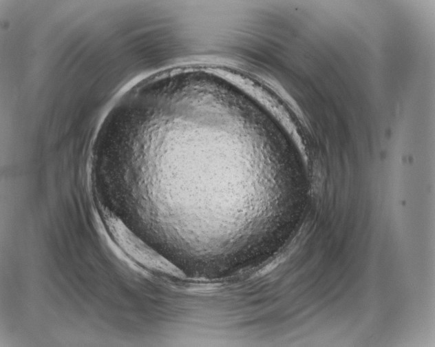 X0000085051484200703191246