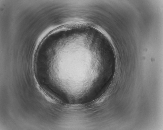 X0000085051488200703191246