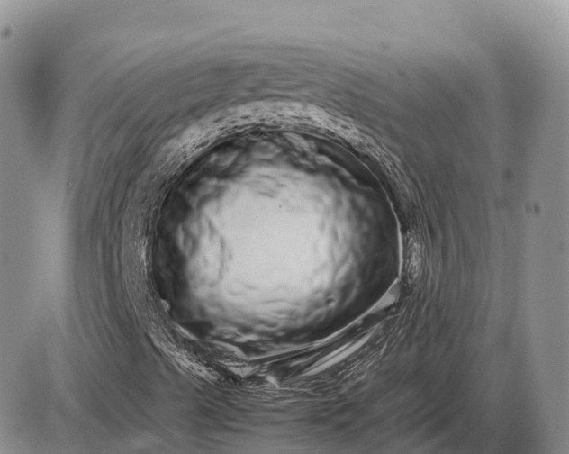 X0000085051489200703191245