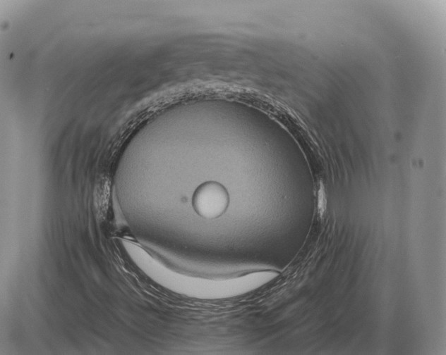 X0000085051492200703191245