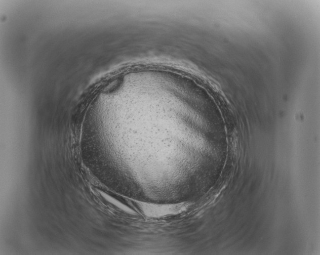 X0000085051494200703191245
