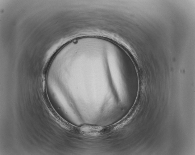 X0000085051509200703191245