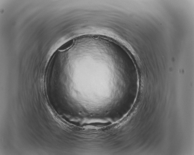 X0000085051513200703191245