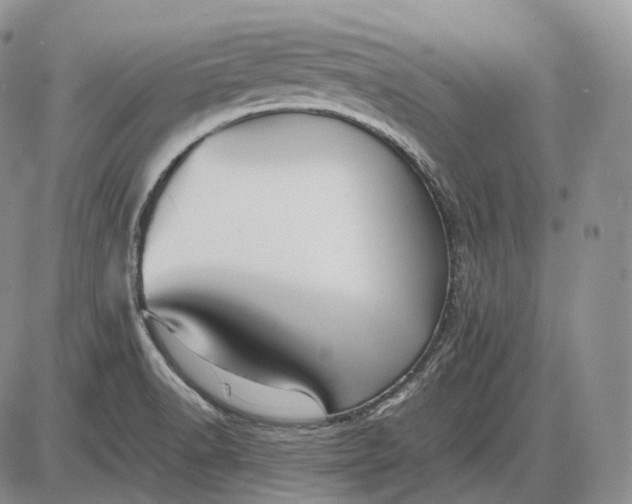 X0000085051518200703191245